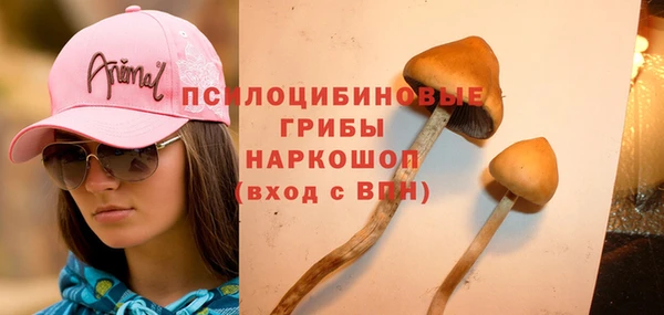 шишки Новодвинск