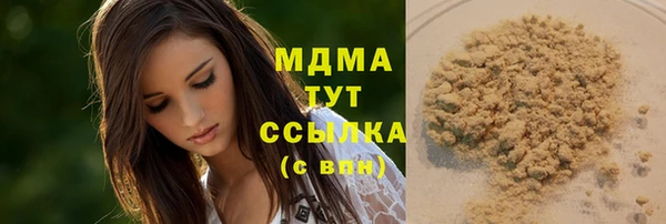 шишки Новодвинск