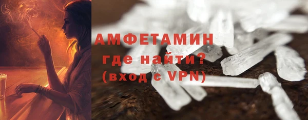 шишки Новодвинск