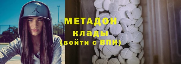 шишки Новодвинск
