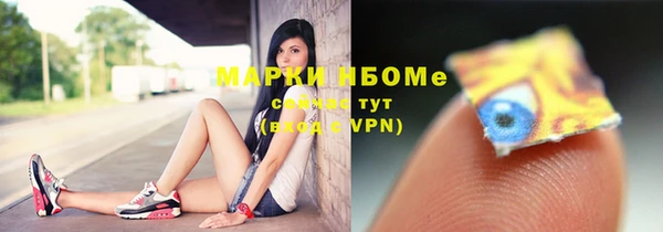 шишки Новодвинск