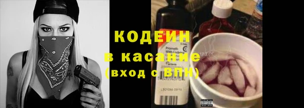 шишки Новодвинск