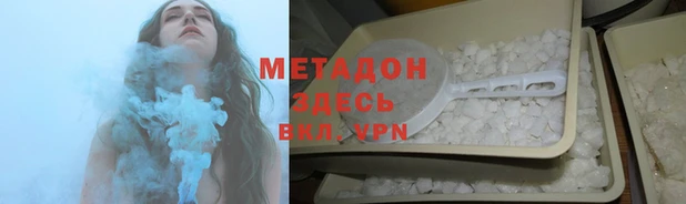 шишки Новодвинск
