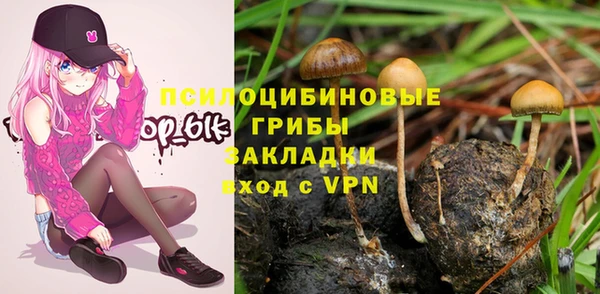 прущие крисы Новокубанск