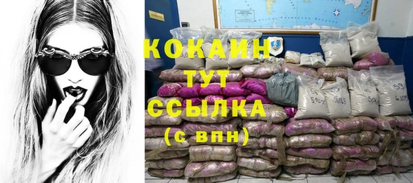 шишки Новодвинск