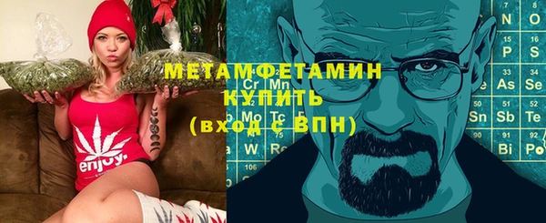 шишки Новодвинск