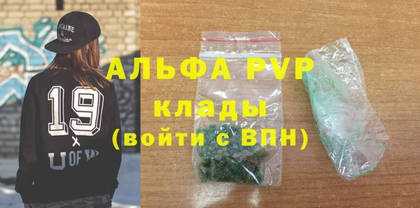 шишки Новодвинск