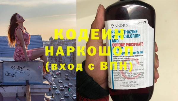 шишки Новодвинск