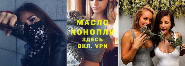 шишки Новодвинск