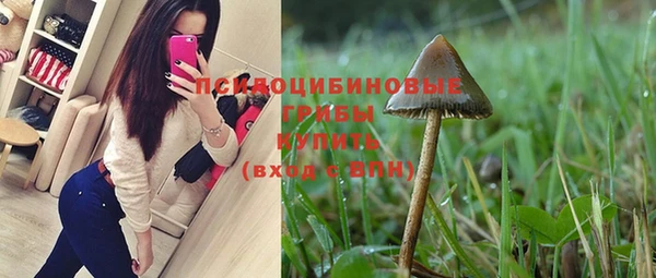 прущие крисы Новокубанск