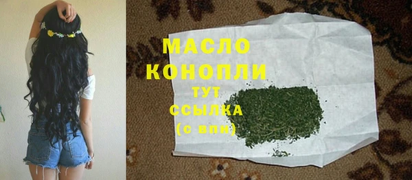 шишки Новодвинск