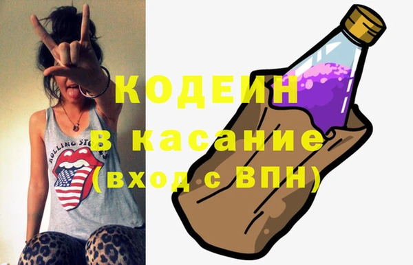 шишки Новодвинск