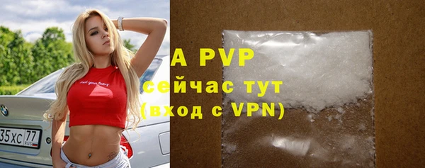шишки Новодвинск