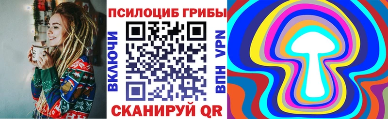 сайты даркнета как зайти  Стерлитамак  Псилоцибиновые грибы MAGIC MUSHROOMS 